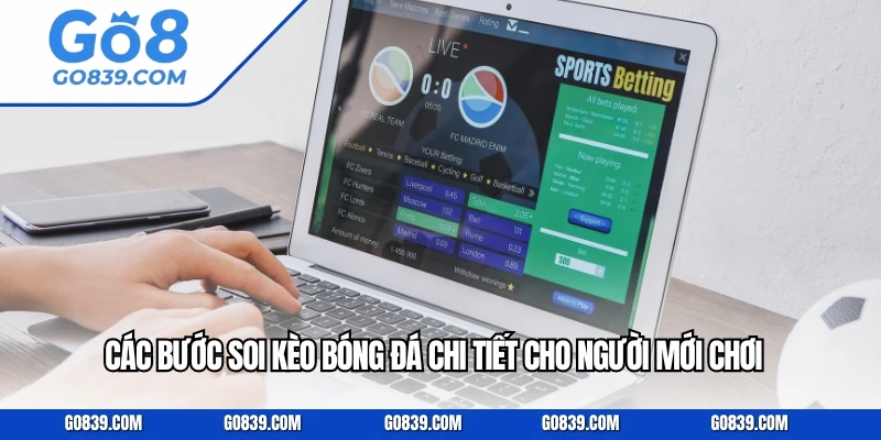 Các bước soi kèo bóng đá chi tiết cho người mới chơi