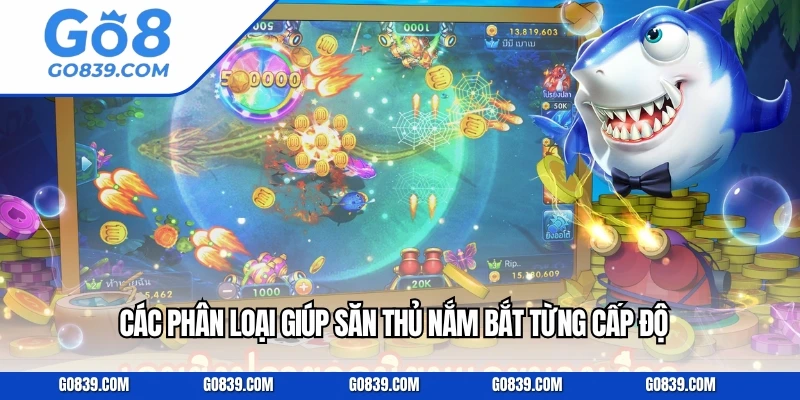 Các phân loại giúp săn thủ nắm bắt từng cấp độ