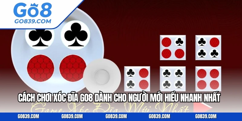 Cách Chơi Xóc Đĩa GO8 Dành Cho Người Mới Hiểu Nhanh Nhất