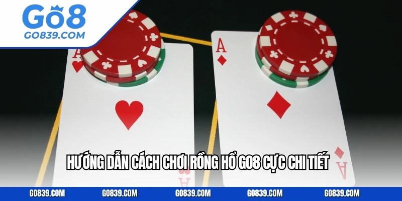 Hướng dẫn cách chơi rồng hổ GO8 cực chi tiết