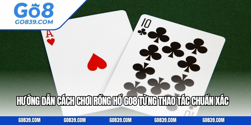 Hướng Dẫn Cách Chơi Rồng Hổ GO8 Từng Thao Tác Chuẩn Xác