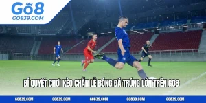Bí Quyết Chơi Kèo Chẵn Lẻ Bóng Đá Trúng Lớn Trên GO8