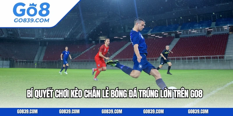 Bí Quyết Chơi Kèo Chẵn Lẻ Bóng Đá Trúng Lớn Trên GO8