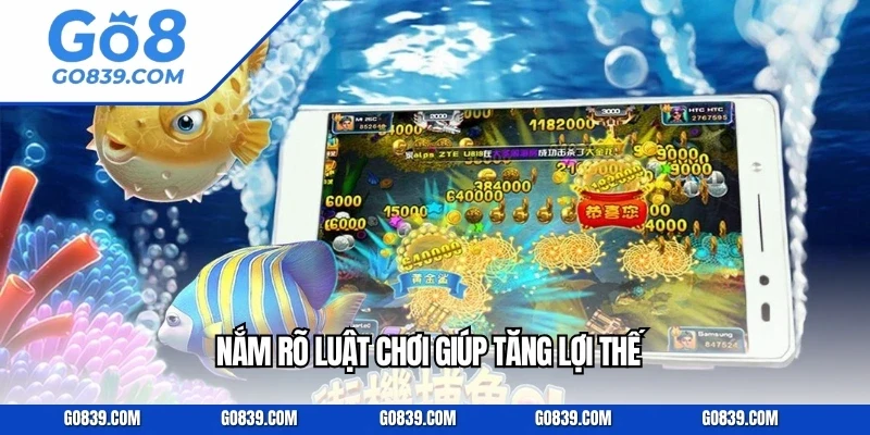 Nắm rõ luật chơi giúp tăng lợi thế