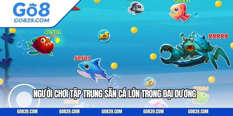 Người chơi tập trung săn cá lớn trong đại dương