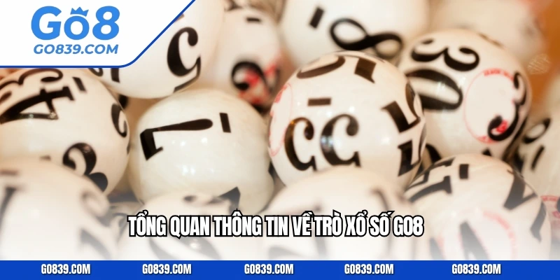 Tổng quan thông tin về trò xổ số GO8