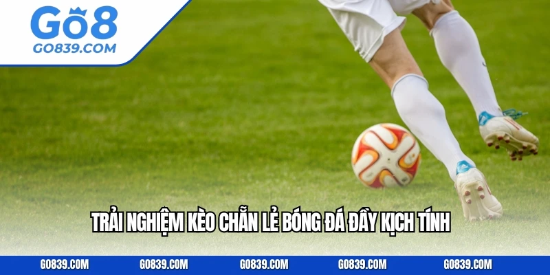 Trải nghiệm kèo chẵn lẻ bóng đá đầy kịch tính