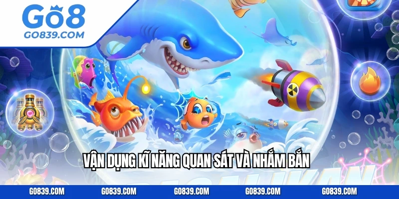 Vận dụng kĩ năng quan sát và nhắm bắn